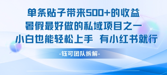 单条贴子带来5张的收益，暑假最好做的私域项目之一，小白也能轻松上手，有小红书就行-AIPOD