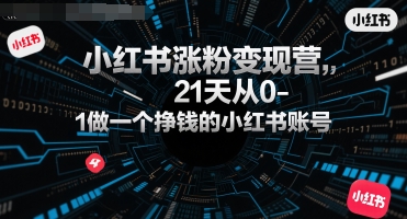 小红书涨粉变现营，21天从0-1做一个挣钱的小红书账号-AIPOD
