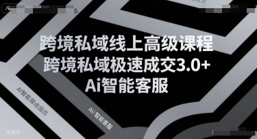 跨境私域线上高级课程，跨境私域极速成交3.0+Ai智能客服-AIPOD