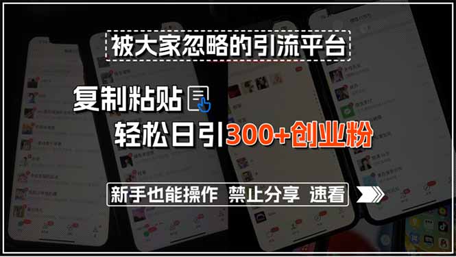 被大家忽略的引流平台，复制粘贴轻松日引300+创业粉，新手也能操作，禁…-AIPOD