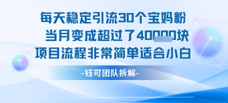 每天稳定引流30个人 当月变成超过了4个W项目流程非常简单适合小白-AIPOD