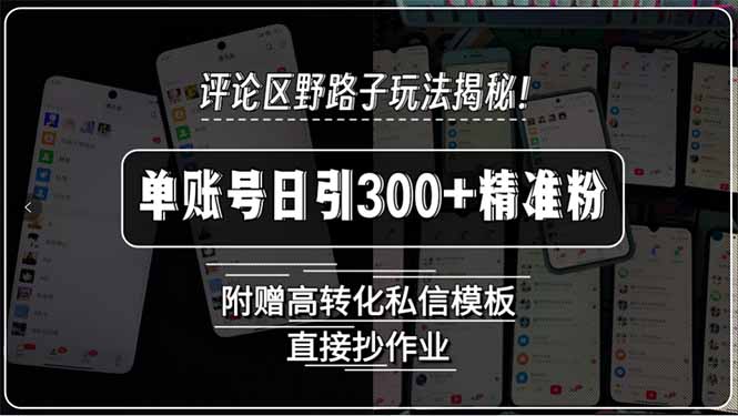 评论区野路子玩法揭秘！单账号日引300+精准粉，附赠高转化私信模板，直…-AIPOD