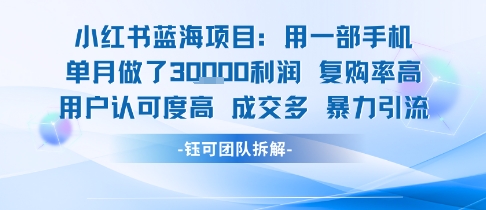 小红书蓝海项目，一部手机单月做了3W利润，小白也能月入过1W用户认可度高成交多-AIPOD