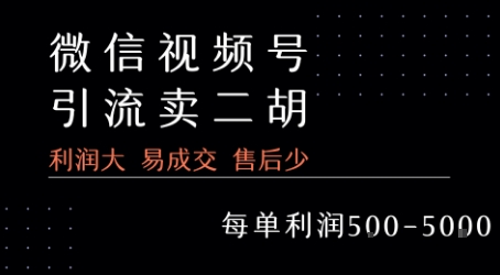 视频号卖二胡教程，利润大 易成交 售后少，一单利润5张+-AIPOD