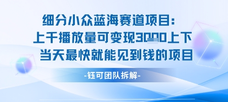 小众蓝海赛道项目：当天变现1k+适合新手操作 +适合长期玩-AIPOD