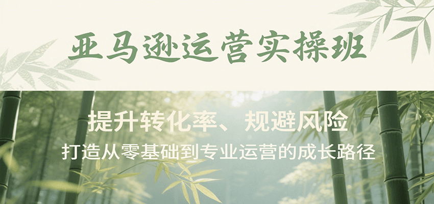 亚马逊运营实操班，提升转化率、规避风险，打造从零基础到专业运营的成长路径-AIPOD