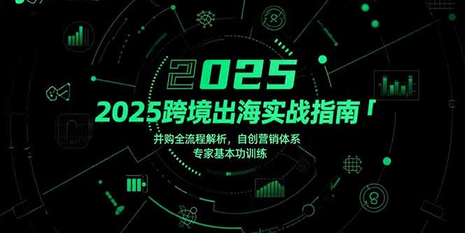 2025跨境出海实战指南，并购全流程解析，自创营销体系，专家基本功训练-AIPOD
