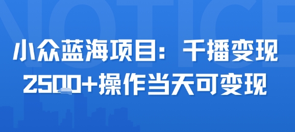 小众蓝海项目，千播变现2.5k+操作当天可变现-AIPOD