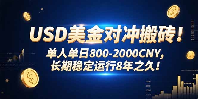 USD美金对冲搬砖!单人单日800-2000CNY，长期稳定运行8年之久!-AIPOD