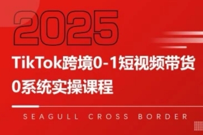 TikTok跨境0-1短视频带货，系统拆解TikTok跨境带货全链路，实现跨境可持续盈利-AIPOD