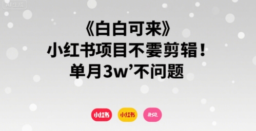 小白可来 小红书项目不需要剪辑 单月3w不是问题-AIPOD