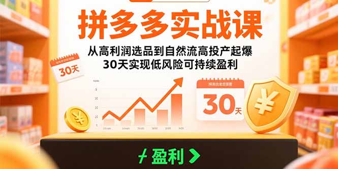 拼多多实战课：从高利润选品到自然流高投产起爆 30天实现低风险可持续盈利-AIPOD