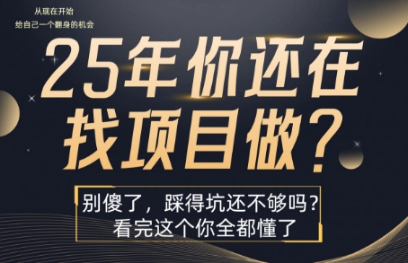 25年，你还在疯狂的找项目吗？别傻了，看完这个你都懂了-AIPOD