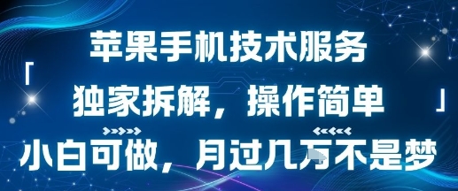 苹果手机技术服务，独家拆解，操作简单，小白可做，月过1W不是梦-亮剑学堂