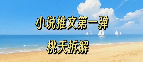小说推文项目操作全流程第一弹，0粉就能做，门槛低非常适合新手-AIPOD