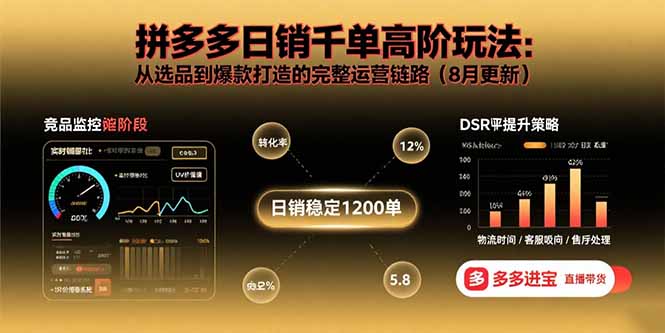 拼多多日销千单高阶玩法：从选品到爆款打造的完整运营链路（8月更新）-AIPOD