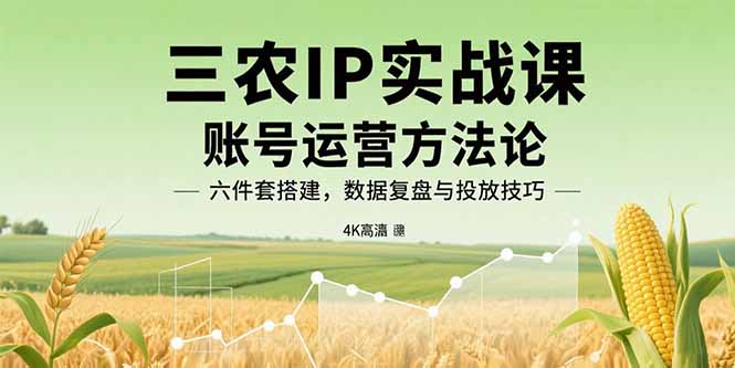 三农IP实战课：账号运营方法论，六件套搭建，数据复盘与投放技巧-AIPOD