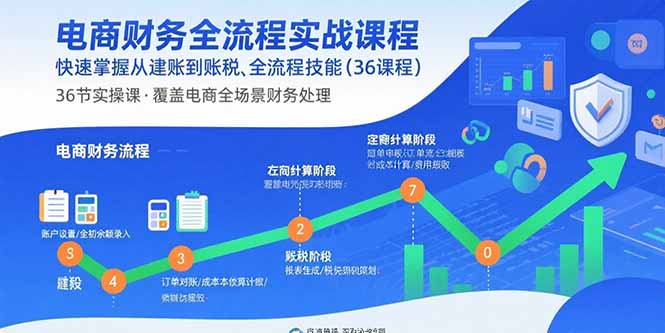 电商财务全流程实战课程：快速掌握从建账到报税的全流程技能（36节课）-AIPOD