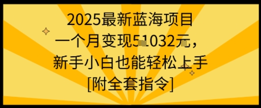 2025最新蓝海项目一个月变现1w+新手小白也能轻松上手【附全套指令】-AIPOD