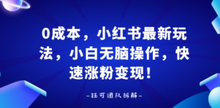 0成本，小红书最新玩法，小白无脑操作，快速涨粉变现-AIPOD