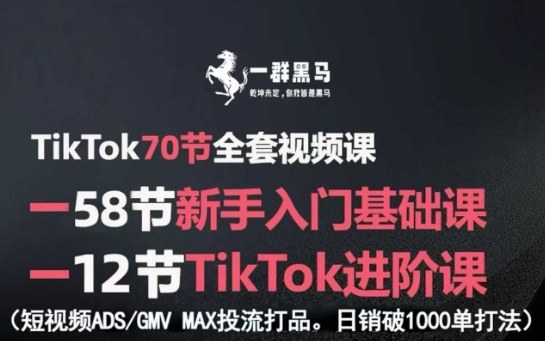 TikTok全套视频课，新手入门+进阶课，短视频ADS-GMV MAX投流打品，日销破1000单打法-AIPOD