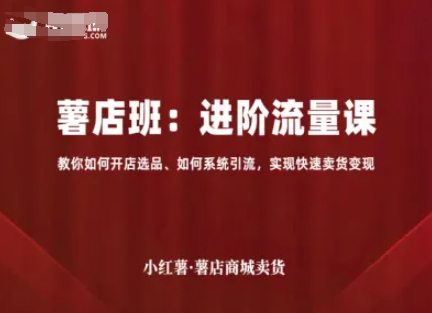 小红薯薯店商城卖货，进阶流量课，教你如何开店选品、如何系统引流，实现快速卖货变现-AIPOD