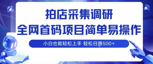 拍店采集调研，全网首码项目，简单易操作， 小白也能轻松上手，多账号操作，轻松日入5张-AIPOD