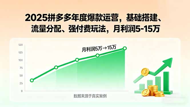2025拼多多年度爆款运营，基础搭建、流量分配、强付费玩法，月利润5-15万-AIPOD