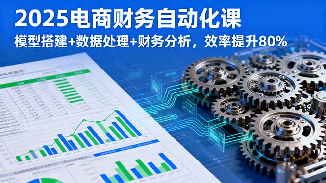 2025电商财务自动化课，模型搭建+数据处理+财务分析，效率提升80%-AIPOD