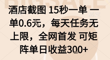 酒店截图15秒一单，一单0.6米，每天任务无上限，全网首发可矩阵单日收益3张-AIPOD