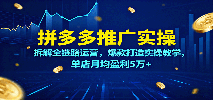 拼多多推广实操，拆解全链路运营，爆款打造实操教学，单店月均盈利5万+-AIPOD