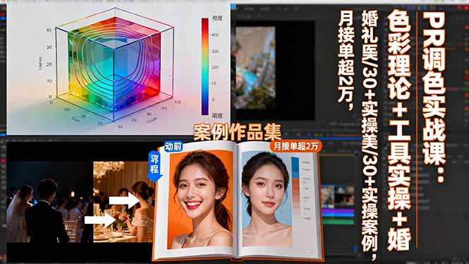 PR调色实战课：色彩理论+工具实操+婚礼医美/30+实操案例，月接单超2万-亮剑学堂