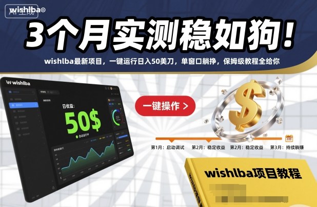 3个月实测稳如狗！wishlba最新项目，一键运行日入50美刀，单窗口躺挣，保姆级教程全给你-AIPOD