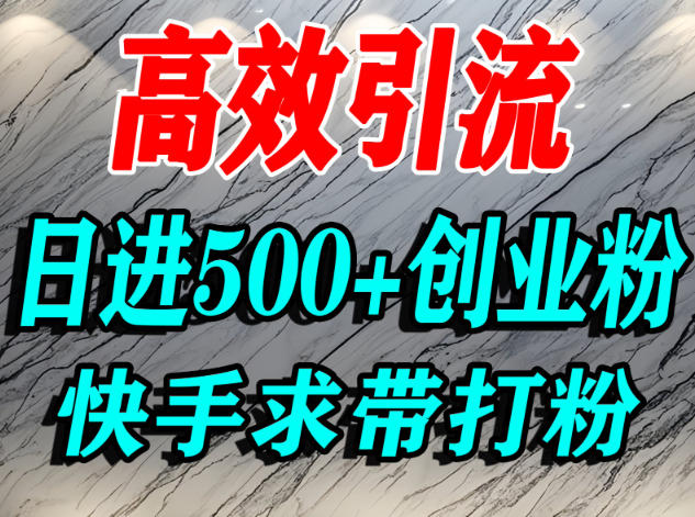 怎么打创业粉？快手求带视角精准引流创业粉，宝妈、学生群体日进500+精准流量-极光库