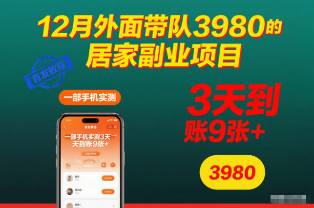 12月外面带队3980的居家副业项目，一部手机实测3天到账9张+，首发教程-亮剑学堂