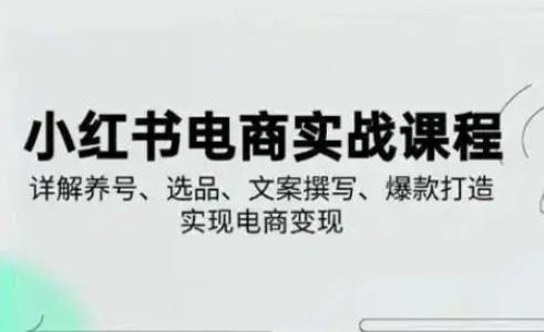 小红书从0-1实操课(2023-2025),详解养号、选品、文案撰写、爆款打造实现电商变现-极光库