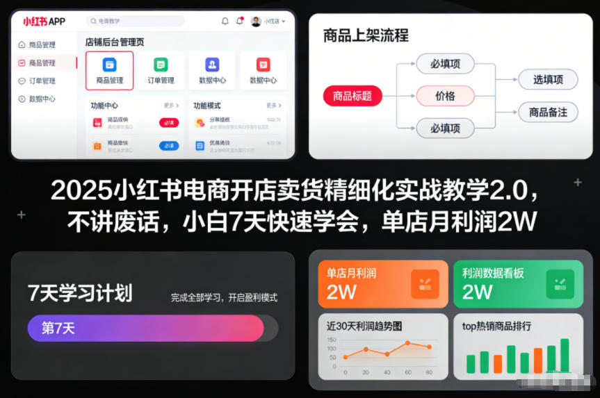 2025小红书电商开店卖货精细化实战教学2.0,不讲废话,小白7天快速学会,单店月利润2W-亮剑学堂