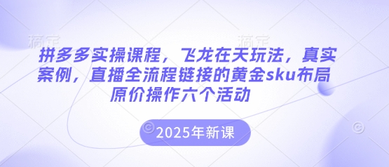 拼多多实操课程,飞龙在天玩法,真实案例,直播全流程链接的黄金sku布局原价操作六个活动-极光库
