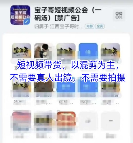 宝子哥头部团队短视频带货，以混剪为主，不需要真人出镜，不需要拍摄【更新12月】-斗金教学