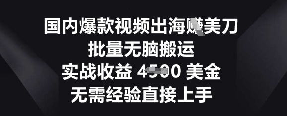 国内爆款视频出海挣美刀，批量无脑搬运，实战收益4.5k，无需经验直接上手-极光库