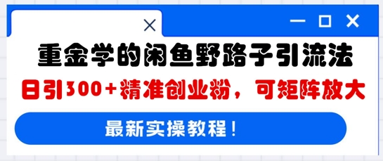 重金学的闲鱼野路子引流法，日引300+精准创业粉，可矩阵放大-极光库