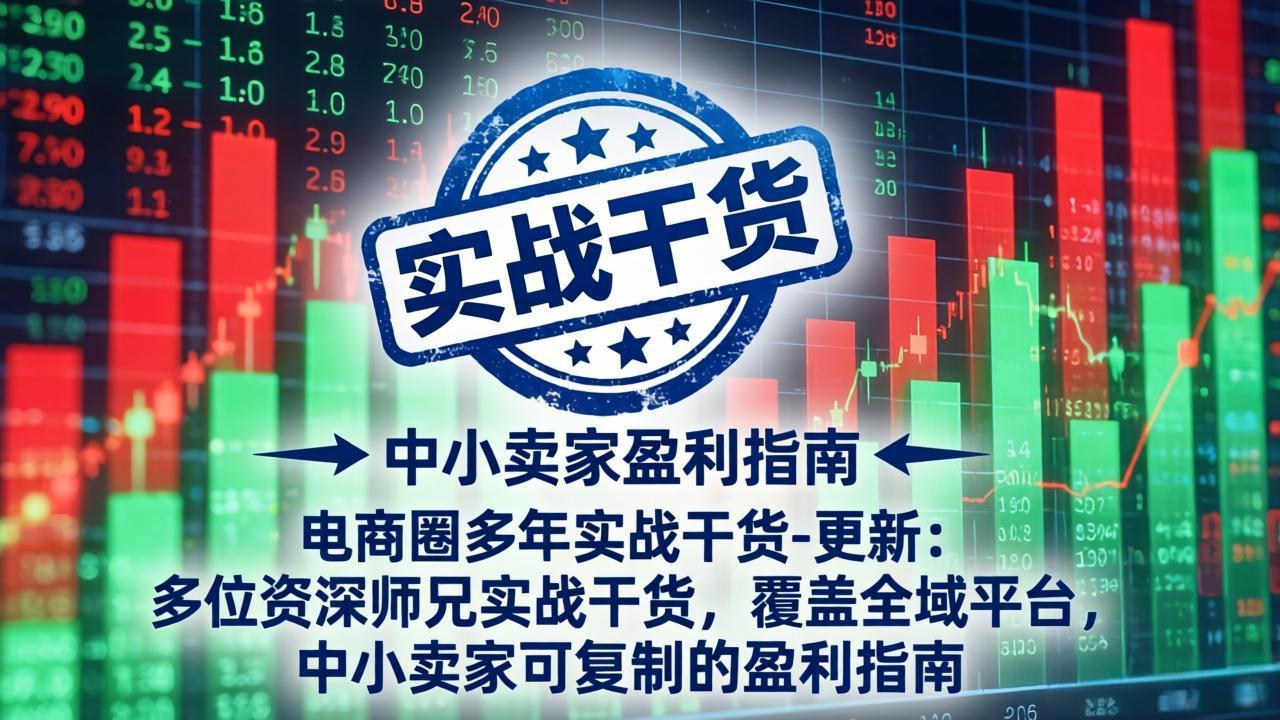 电商圈多年实战干货-更新2026：多位资深师兄实战干货/覆盖全域平台，中小卖家可复制的盈利指南-极光库