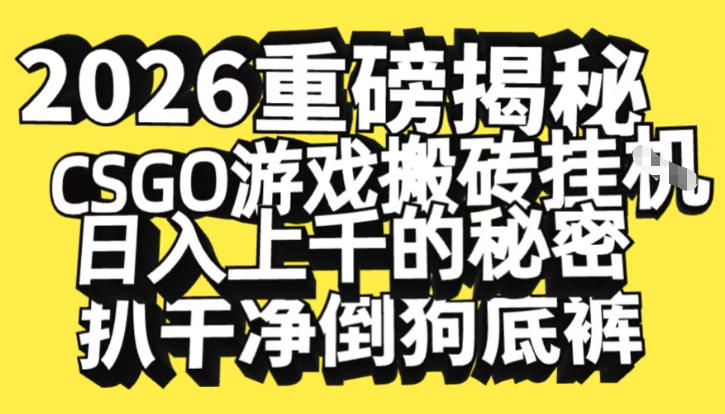 2026开年重磅解密，CSGO游戏搬砖挂G日入1k+的秘密，把倒狗的底裤扒干【揭秘】-萤火虫教育