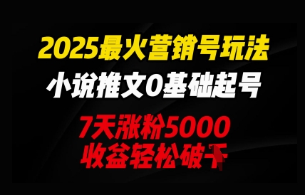 2025最火营销号玩法：小说推文0基础起号，7天涨粉5000，收益轻松破k-极光库