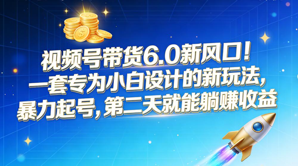 视频号带货 6.0 新风口！一套专为小白设计的新玩法，暴力起号，第二天就能躺赚收益-萤火虫教育