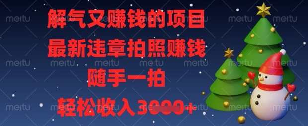解气又挣钱的项目，最新违章拍照挣钱，随手一拍，轻松收入数张【揭秘】-极光库